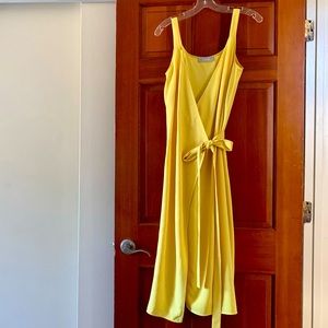 Everlane Japanese Go Weave Wrap Dress